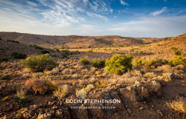environmental photographer south africa