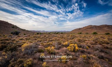 environmentalphotographer south africa