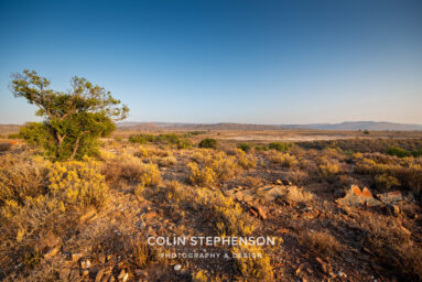 environmental photographer south africa