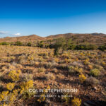 environmental photographer south africa