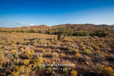environmental photographer south africa