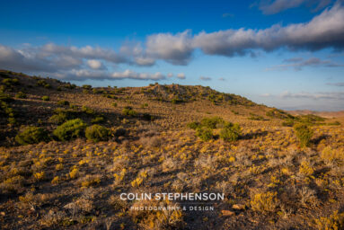 environmental photographer south africa