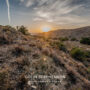 Environmental Photographer South Africa