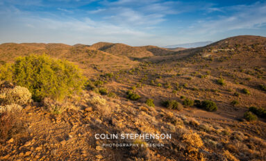 environmental photographer south africa