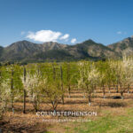 Magazine & Editorial Photography South Africa