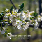 Magazine & Editorial Photography South Africa