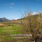 Magazine & Editorial Photography South Africa