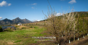Magazine & Editorial Photography South Africa