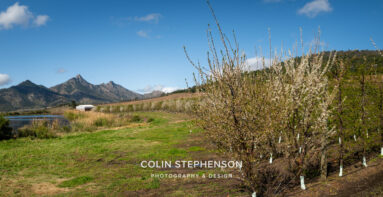 Magazine & Editorial Photography South Africa