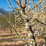 Magazine & Editorial Photography South Africa