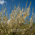 Magazine & Editorial Photography South Africa