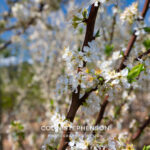 Magazine & Editorial Photography South Africa