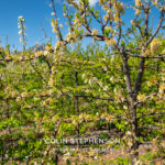 Magazine & Editorial Photography South Africa