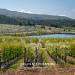 Magazine & Editorial Photography South Africa