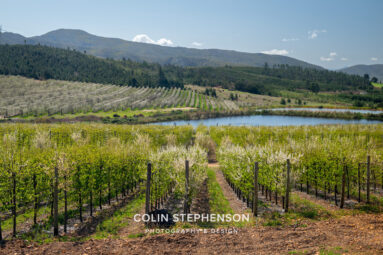 Magazine & Editorial Photography South Africa