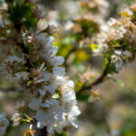 Magazine & Editorial Photography South Africa