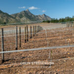 Magazine & Editorial Photography South Africa