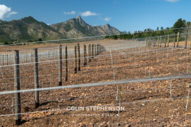Magazine & Editorial Photography South Africa
