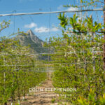 Magazine & Editorial Photography South Africa