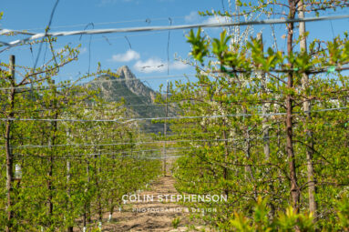 Magazine & Editorial Photography South Africa