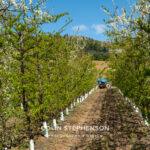 Magazine & Editorial Photography South Africa