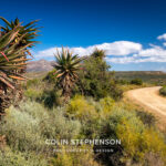 Landscape Photographer in South Africa | Colin Stephenson
