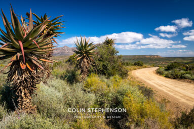 Landscape Photographer in South Africa | Colin Stephenson