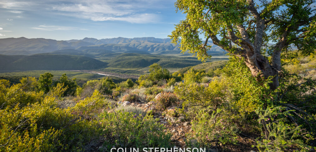 Landscape Photographer in South Africa | Colin Stephenson