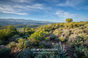 Landscape Photographer in South Africa | Colin Stephenson