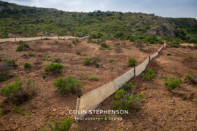 Environmental Photographer Africa: Telling the Story of Our Planet's Future