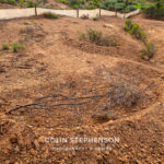 Environmental Photographer Africa: Telling the Story of Our Planet's Future