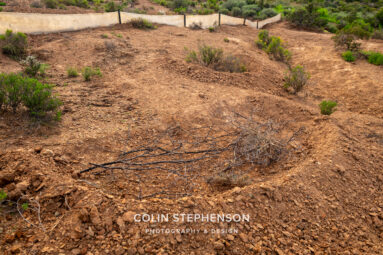 Environmental Photographer Africa: Telling the Story of Our Planet's Future