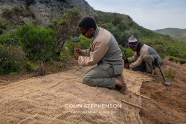 Environmental Photographer Africa: Telling the Story of Our Planet's Future