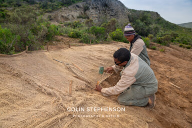 Environmental Photographer Africa: Telling the Story of Our Planet's Future