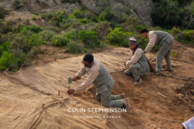 Environmental Photographer Africa: Telling the Story of Our Planet's Future