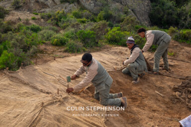 Environmental Photographer Africa: Telling the Story of Our Planet's Future