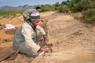 Environmental Photographer Africa: Telling the Story of Our Planet's Future