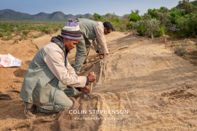 Environmental Photographer Africa: Telling the Story of Our Planet's Future