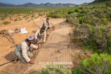 Environmental Photographer Africa: Telling the Story of Our Planet's Future