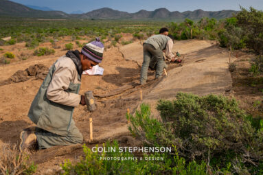 Environmental Photographer Africa: Telling the Story of Our Planet's Future