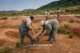 Environmental Photographer Africa: Telling the Story of Our Planet's Future