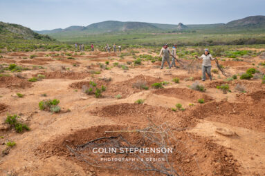 Environmental Photographer Africa: Telling the Story of Our Planet's Future