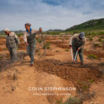 Environmental Photographer Africa: Telling the Story of Our Planet's Future