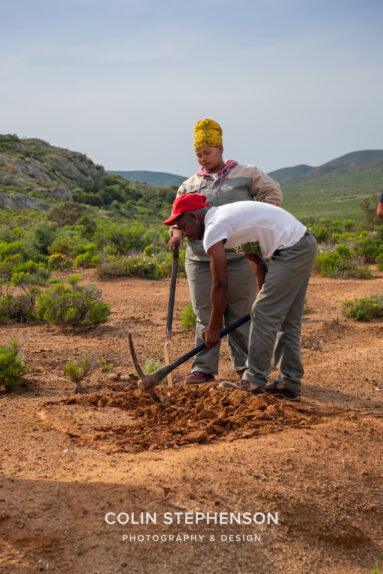 Environmental Photographer Africa: Telling the Story of Our Planet's Future
