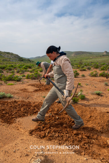 Environmental Photographer Africa: Telling the Story of Our Planet's Future