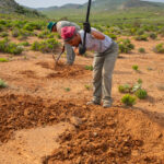 Environmental Photographer Africa: Telling the Story of Our Planet's Future