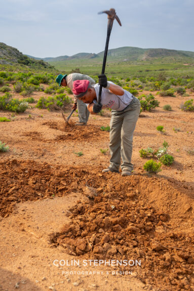 Environmental Photographer Africa: Telling the Story of Our Planet's Future