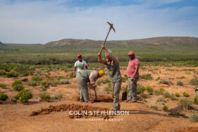 Environmental Photographer Africa: Telling the Story of Our Planet's Future