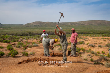 Environmental Photographer Africa: Telling the Story of Our Planet's Future