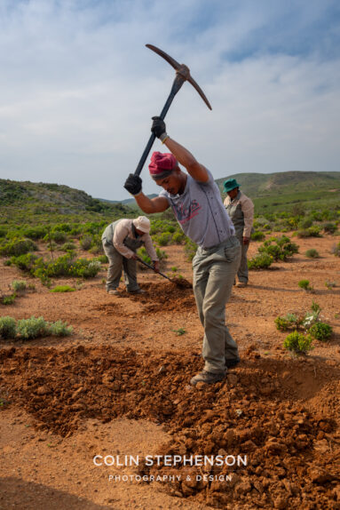 Environmental Photographer Africa: Telling the Story of Our Planet's Future